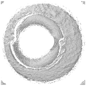 A visualization of two unprocessed cartridge case scans where the surface height values are mapped to a gray color gradient. It is difficult to assess the similarity between the unprocessed scans, which motivates the need for the pre-processing stage of the CMC pipeline.