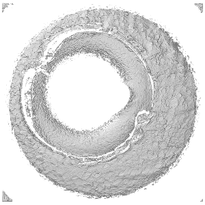 A visualization of two unprocessed cartridge case scans where the surface height values are mapped to a gray color gradient. It is difficult to assess the similarity between the unprocessed scans, which motivates the need for the pre-processing stage of the CMC pipeline.