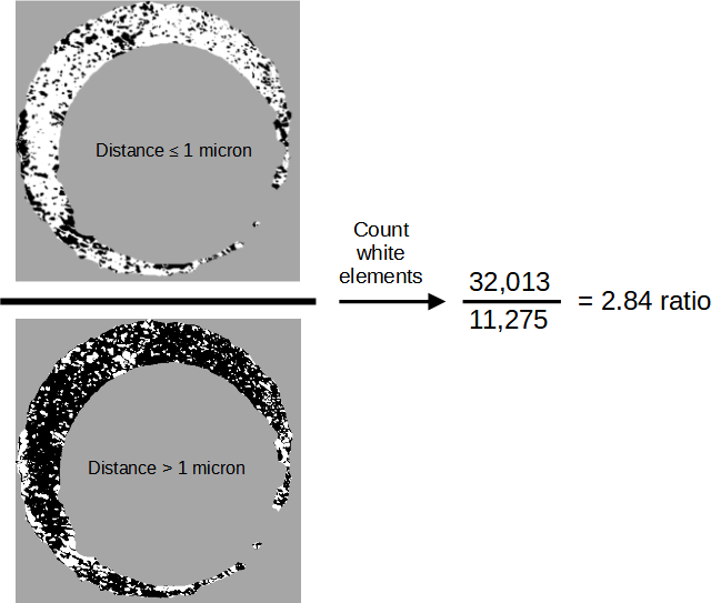 We compute the ratio between the number of similar and different elements of two aligned scans, which are defined to be elements for which the two surfaces are at most or greater than 1 micron, respectively. These are represented above as white pixels in the two images on the left. We then count the number of white pixels in each image and compute their ratio, resulting in this example in a value of 2.84. We expect this ratio to be larger for matching comparisons, on average, than non-matching comparisons.